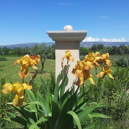 Bed and Breakfast Lamanderie En Provence Alleins Exterior foto